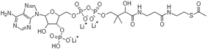 Coenzyme A, S-acetate,trilithium salt (9CI)